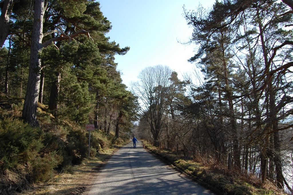 阿尔巴豪斯住宿加早餐旅馆 Grantown-on-Spey 外观 照片