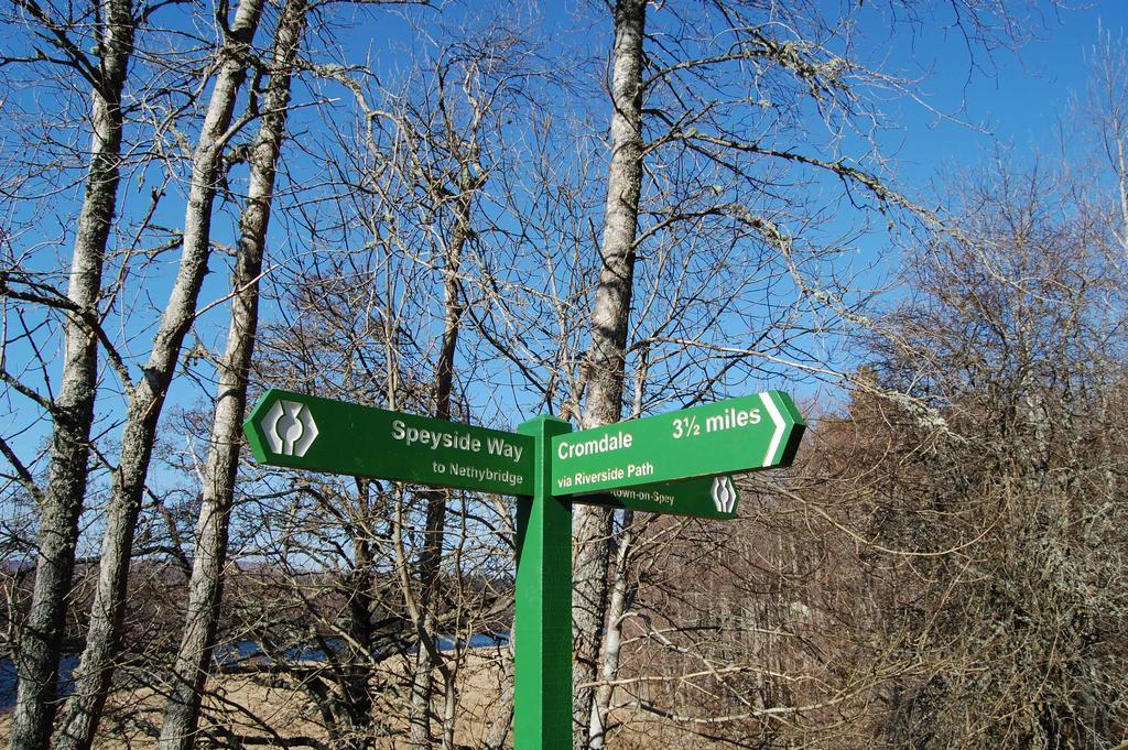 阿尔巴豪斯住宿加早餐旅馆 Grantown-on-Spey 外观 照片